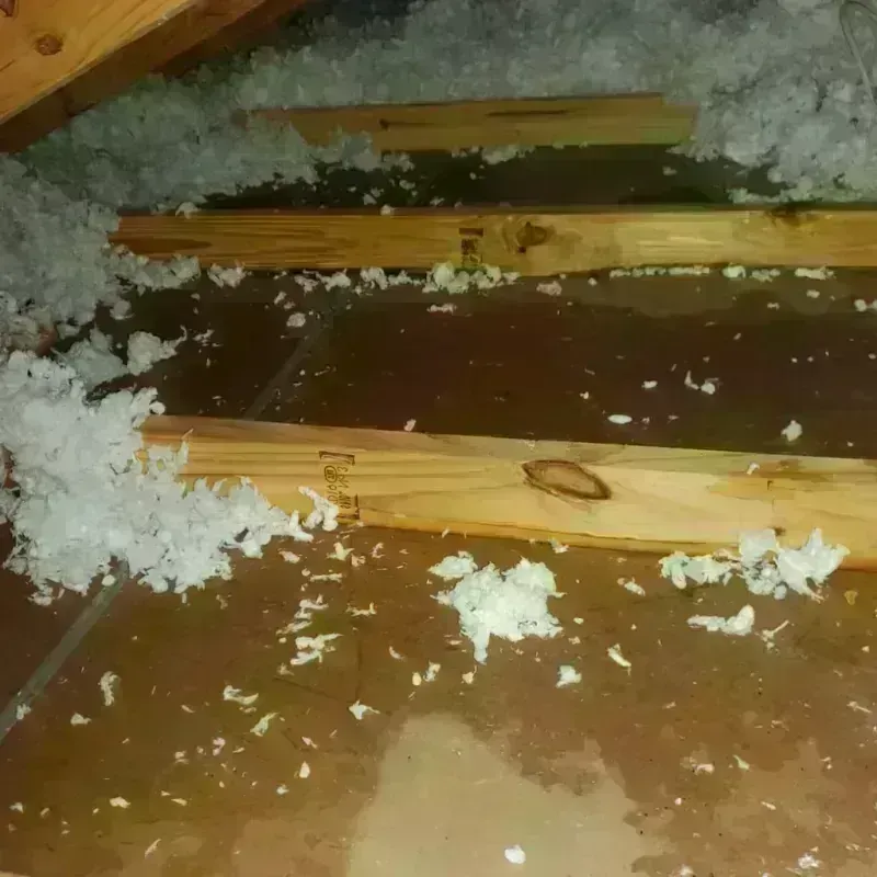 Attic Water Damage in Hamilton City, CA