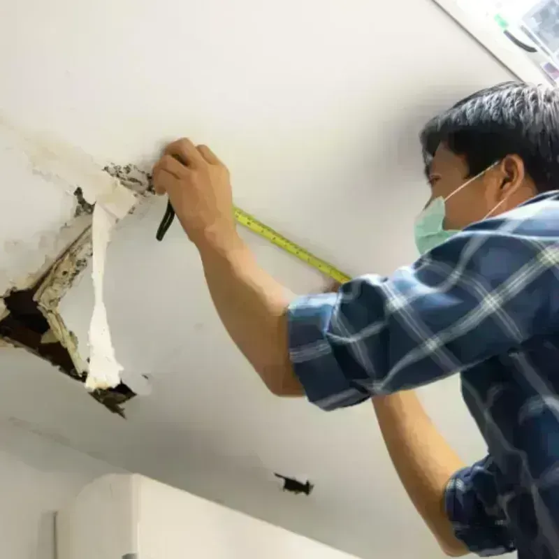 Ceiling And Wall Water Damage in Hamilton City, CA