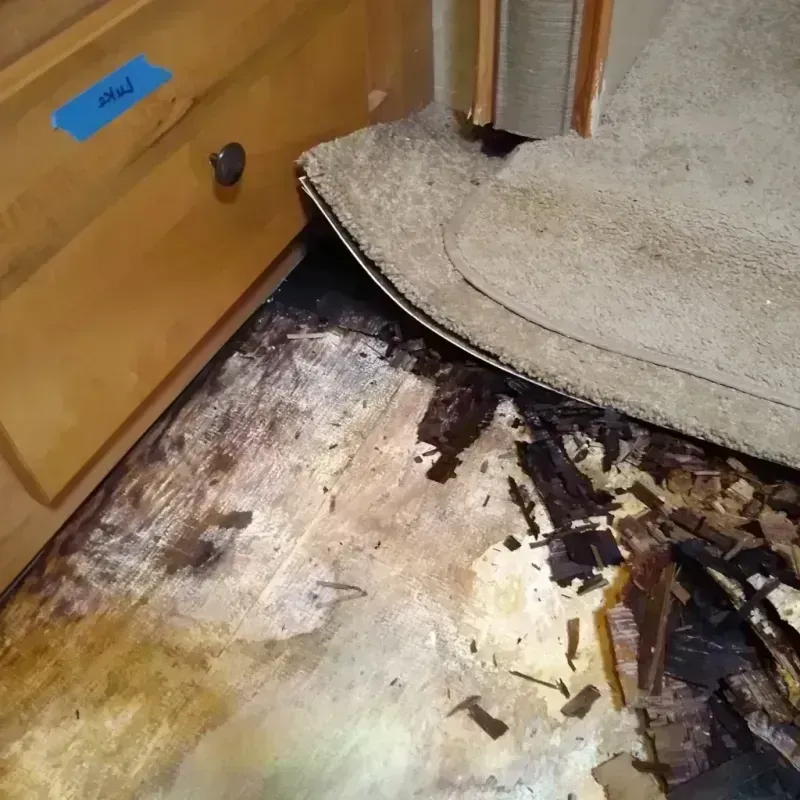 Wood Floor Water Damage in Hamilton City, CA